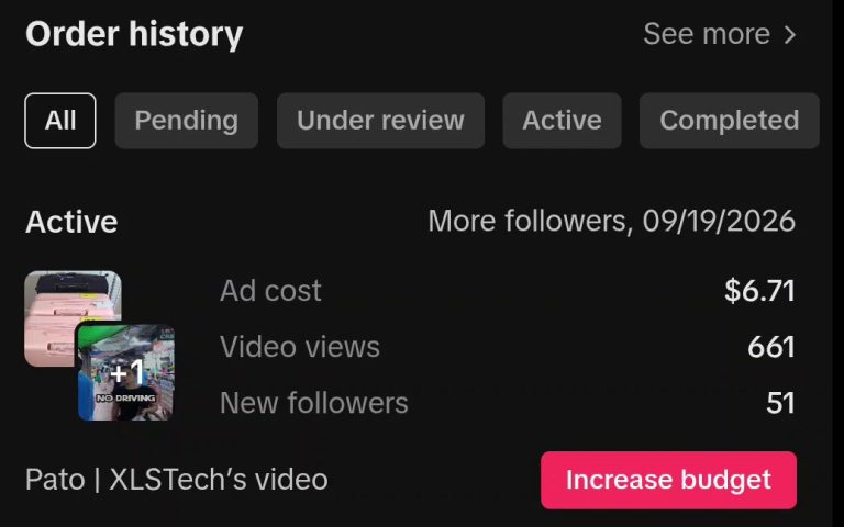TikTok ad campaign history
